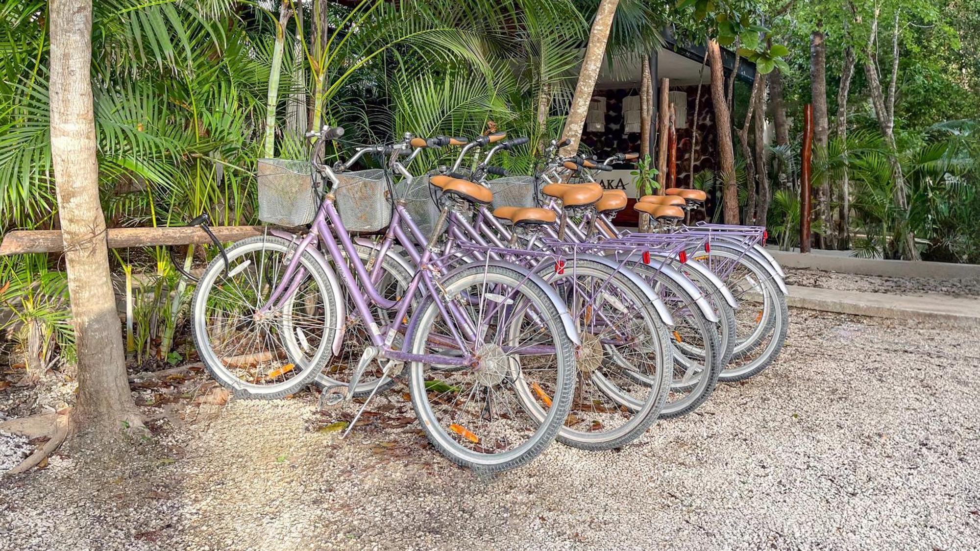 Amaka Calma Tulum Hotel Kültér fotó